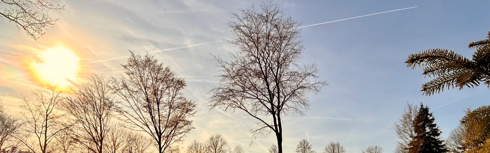 Tiefstehende Sonne über den Bäumen am Platz