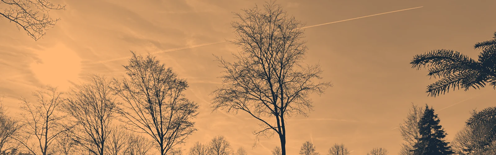 Abendhimmel über dem Platz, grafische Duotone-Fassung in den Hausfarben