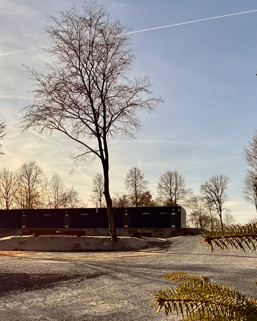 Einzelner Baum vor dem Sanitärgebäude im Abendlicht