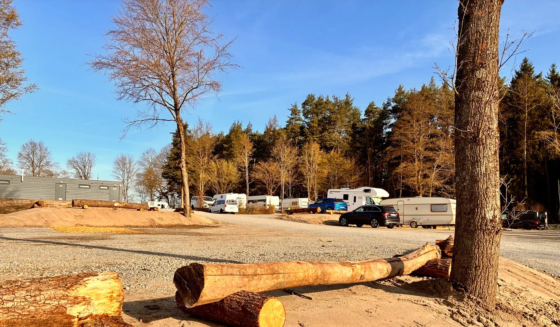 Blick über die Stellplätze zur Waldkante: Wohnmobile und Wohnwagen stehen im Abendlicht vor dem Kiefernwald